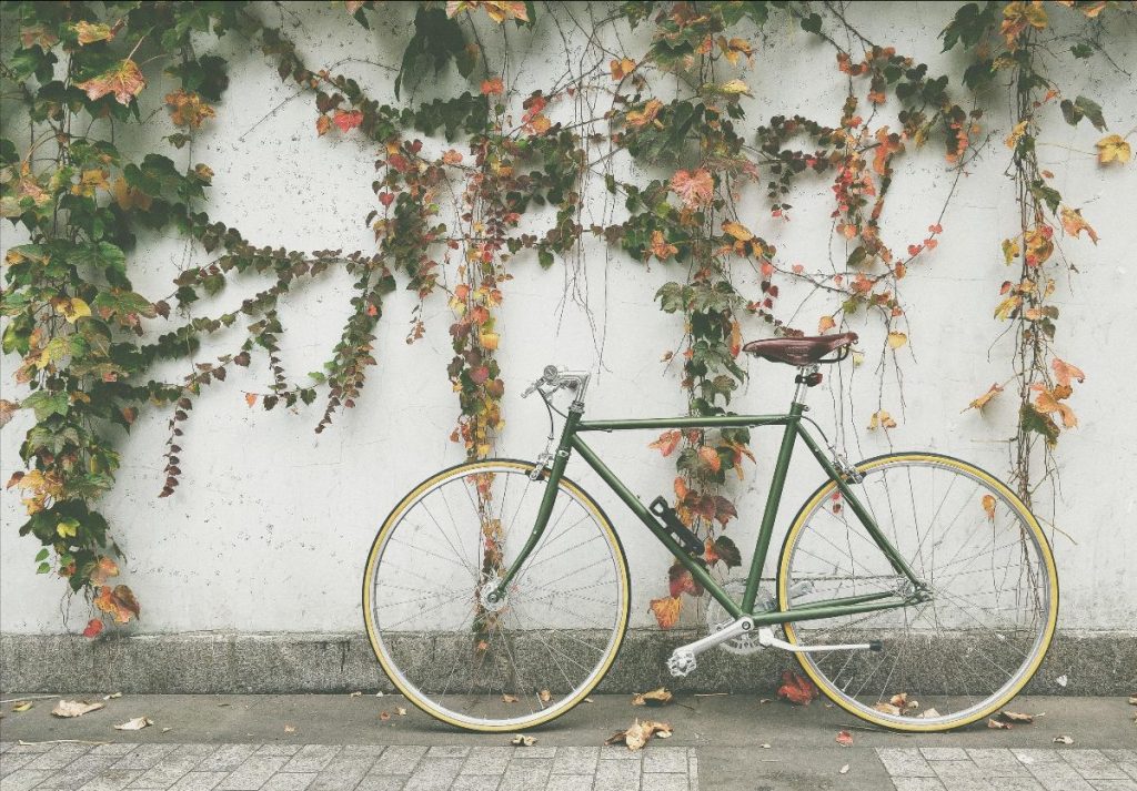 bike rideshare